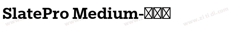 SlatePro Medium字体转换